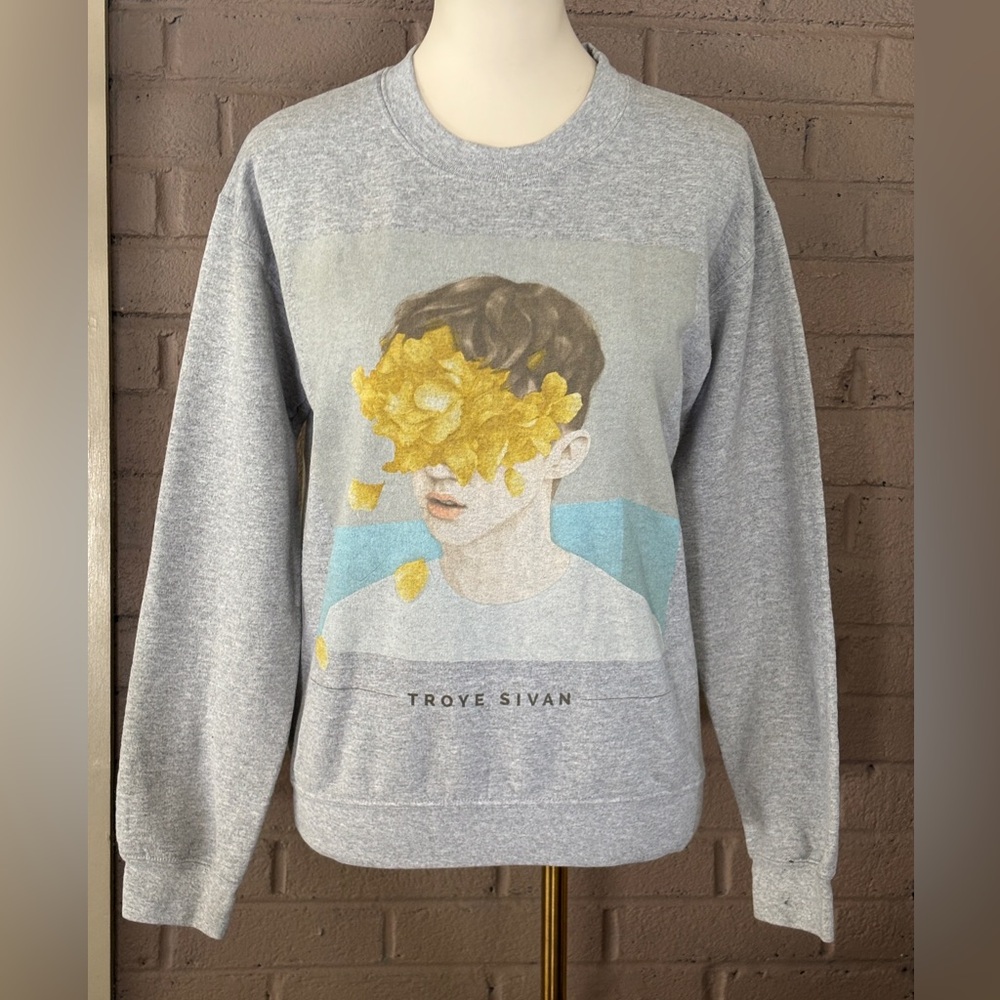 Troye Sivan gray graphic sweatshirt S ( Unisex)